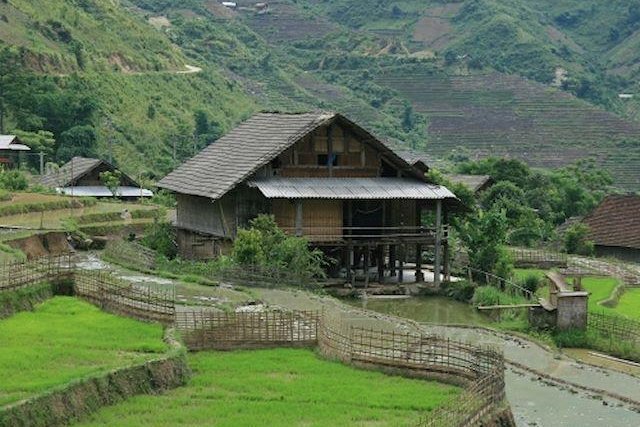 Organic Farm Homestay