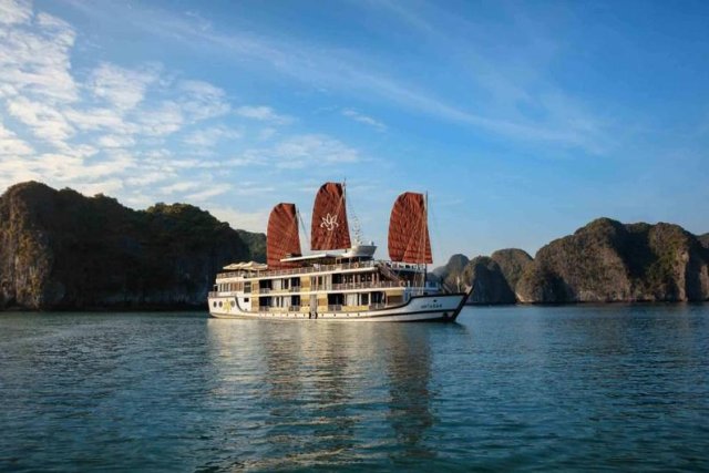 Orchid Cruise