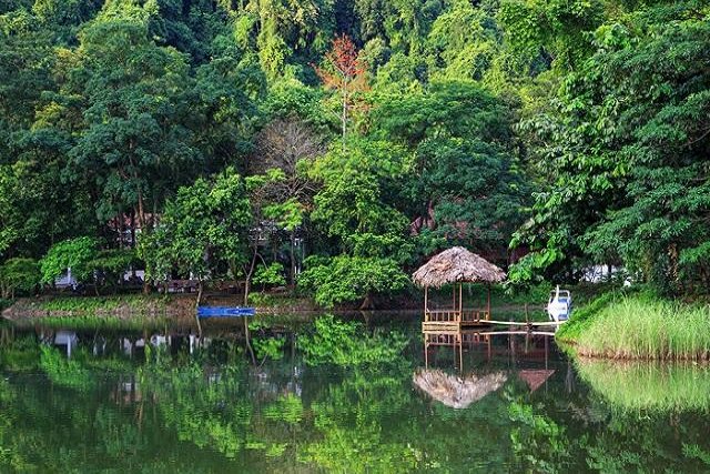 Cuc Phuong National Park Guest House