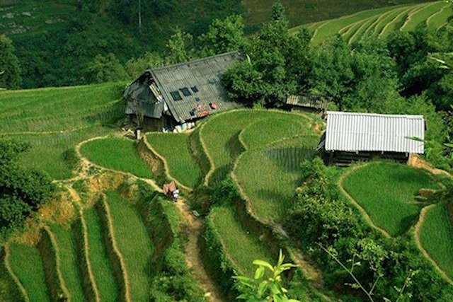 Homestay in Thanh Phu Village