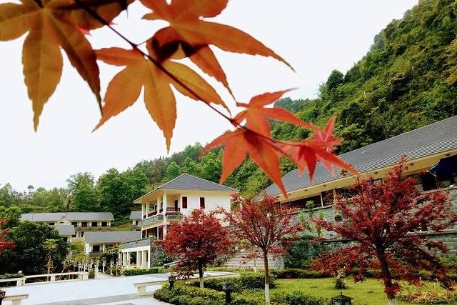 Sai Gon Ban Gioc Resort