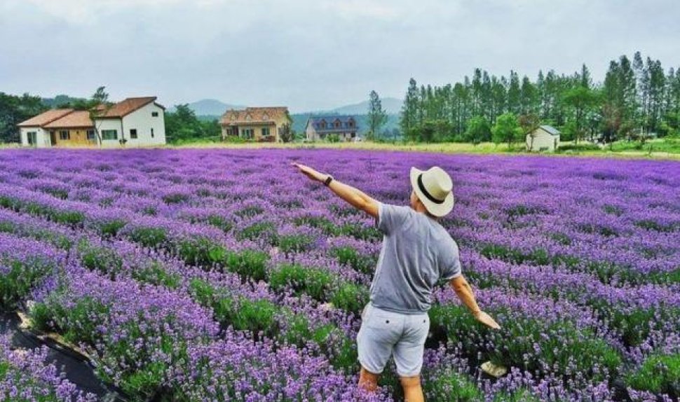 Dalat Countryside Tour