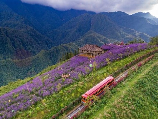 Hanoi - Sapa - Halong 7 Days Tour Package
