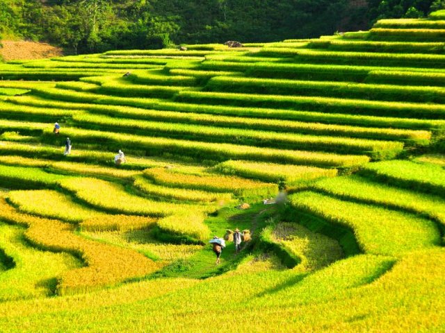 Vietnam - Specifically the North
