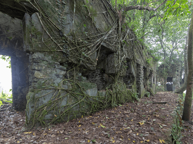 Vietnam Wellness Tour