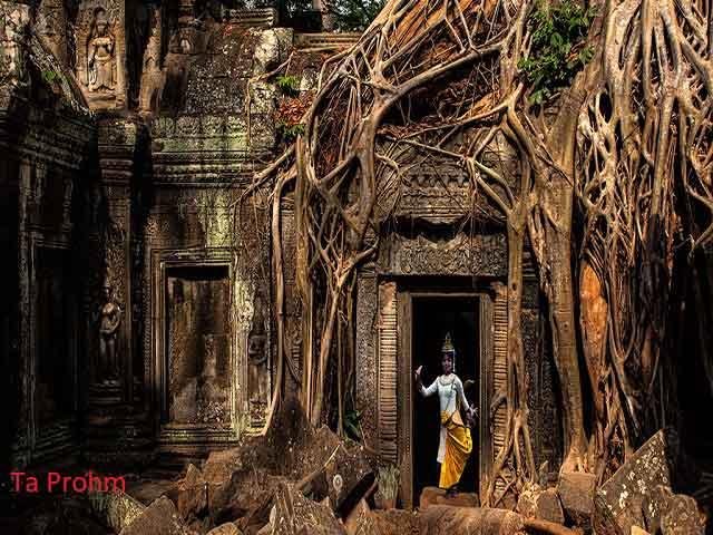 The Best of Cambodia