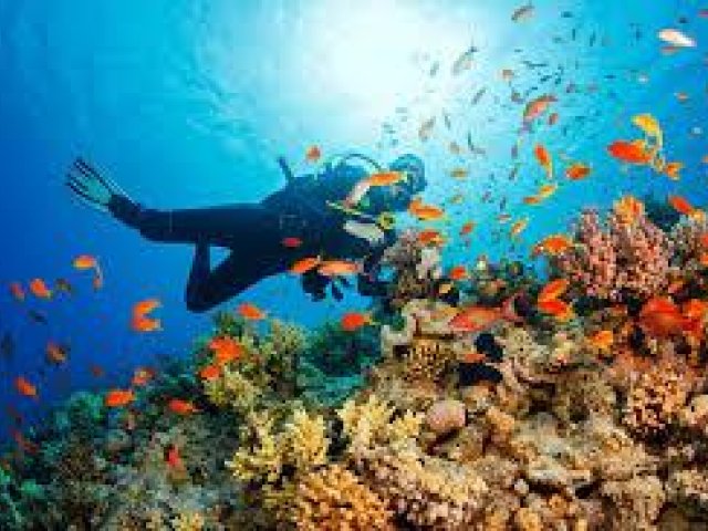 Phu Quoc – Ho Chi Minh 7 Days
