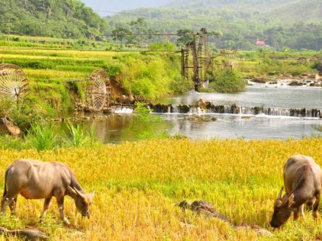 Vietnam - Specifically the North