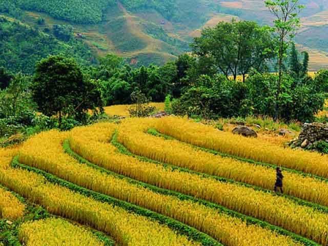 Trekking And Biking Tour in Sapa