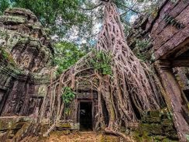 The Beautiful Angkor Temples