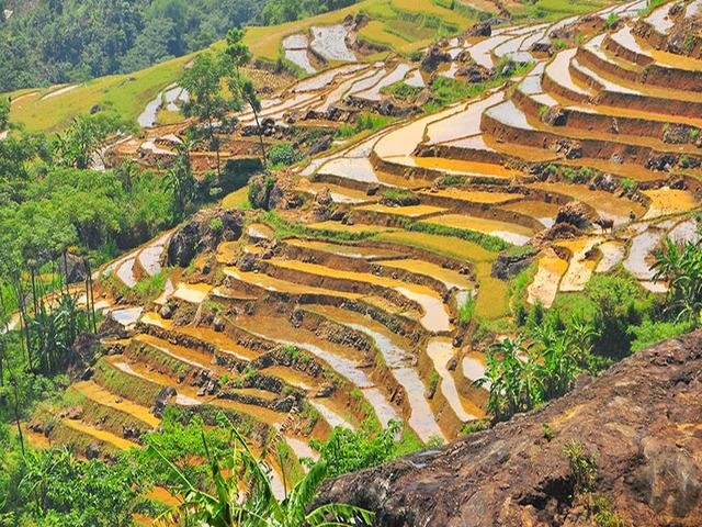 Trekking Tour In Northern Vietnam