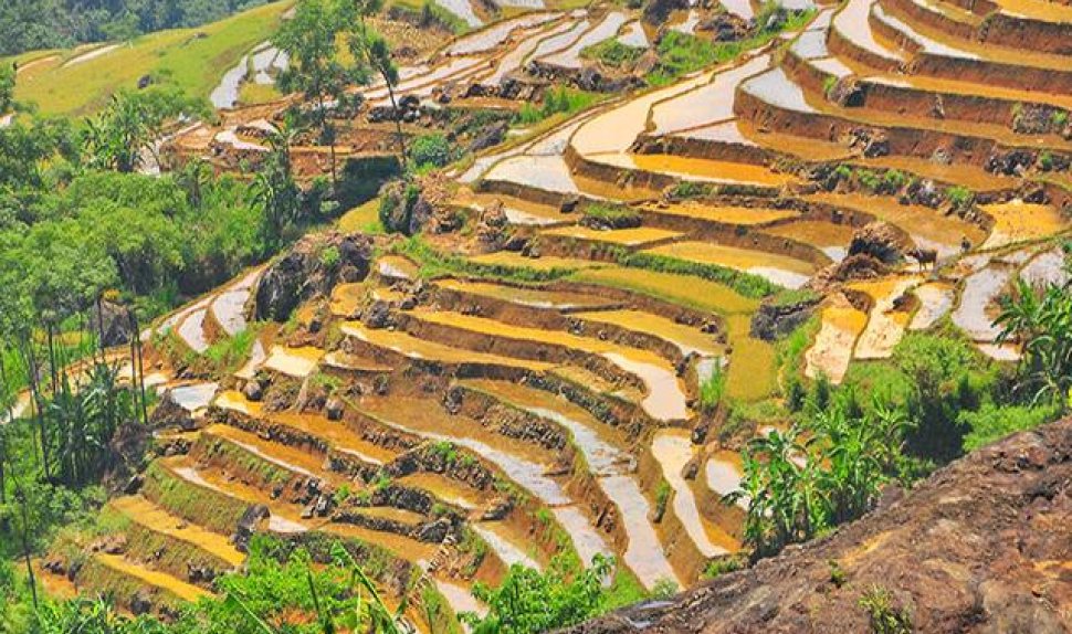 Trekking Tour In Northern Vietnam