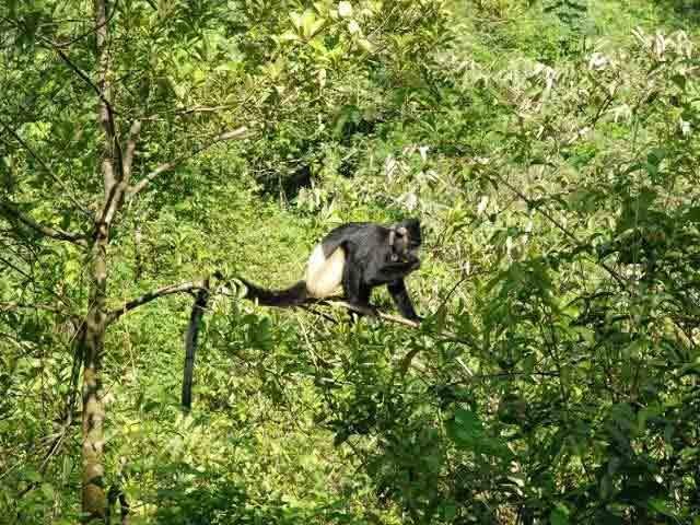 Cuc Phuong National Park Adventure