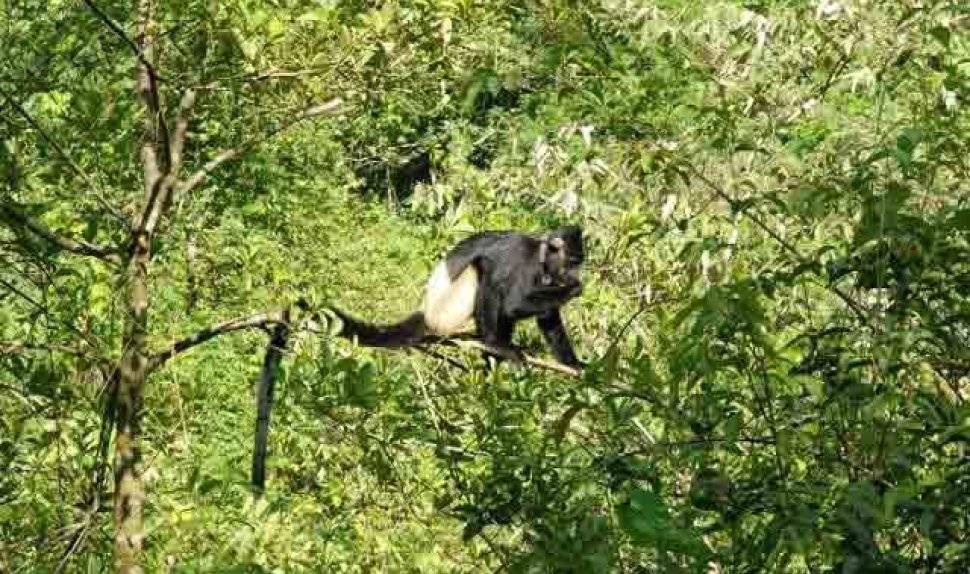 Cuc Phuong National Park Adventure