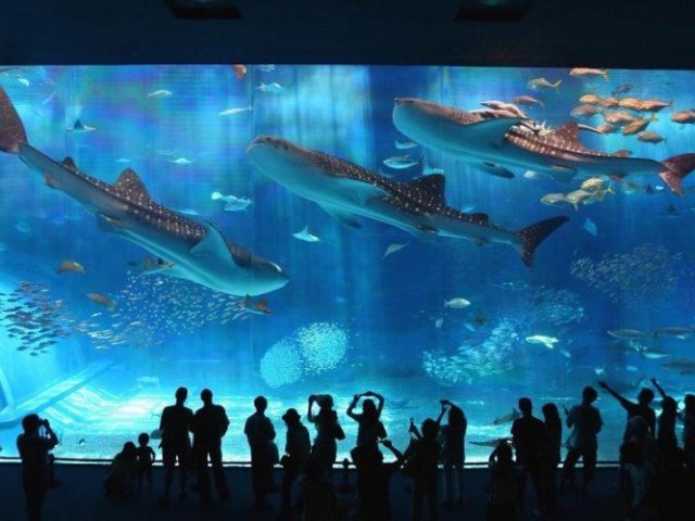 Vinpearl Land Nha Trang Ticket with roundtrip transfer