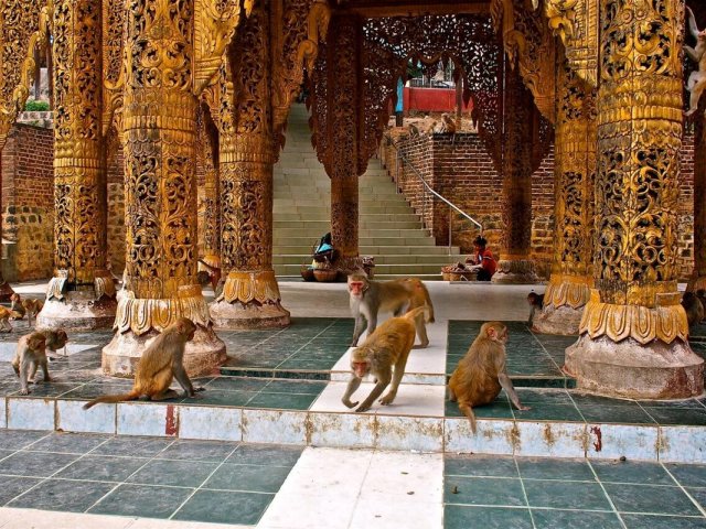 BAGAN MOUNT POPA DAY TRIP