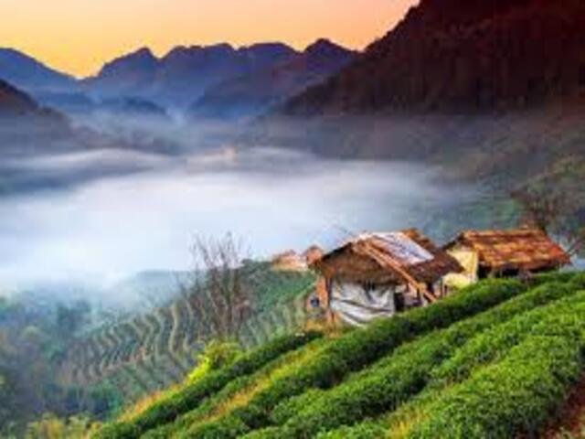 Thailand and the Golden Triangle