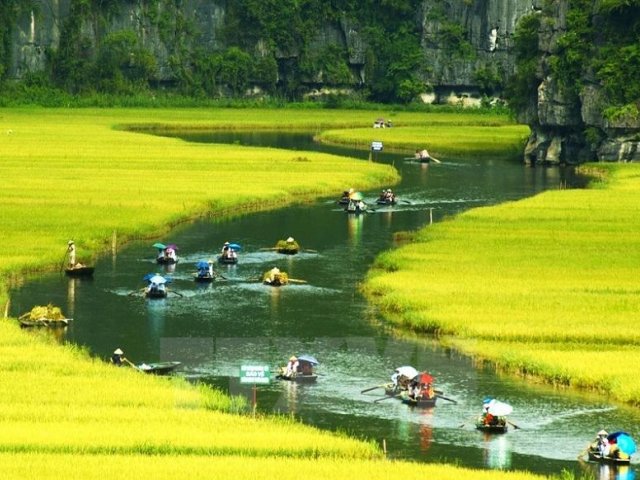 Hanoi - Sapa - Halong - Danang for 9 days