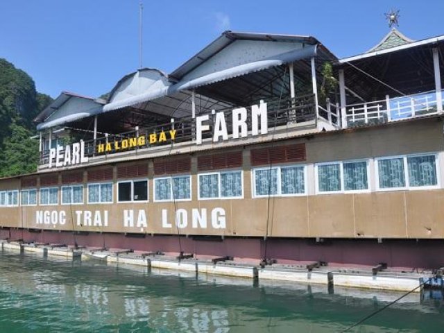 Discover the beauty of Halong Bay (overnight cruise)