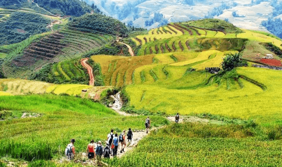Vietnam Hiking Tour With Pu Luong