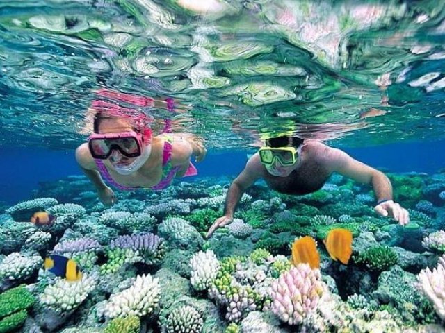 Nha Trang Diving Tour At Coral Bay