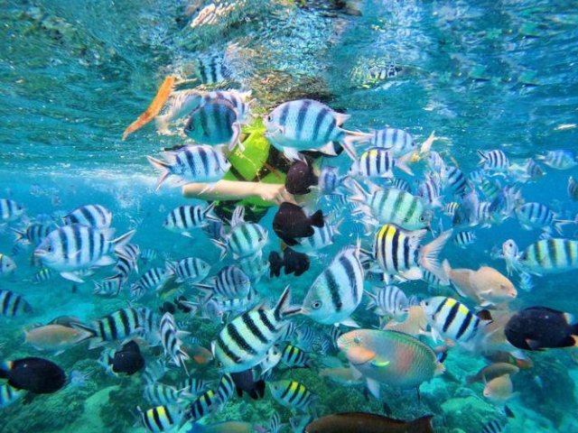 Nha Trang Sea Walking Trip