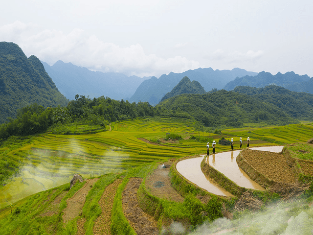 Vietnam – Unique Experience