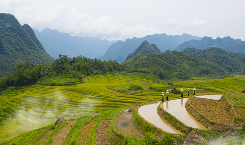 Vietnam – Unique Experience