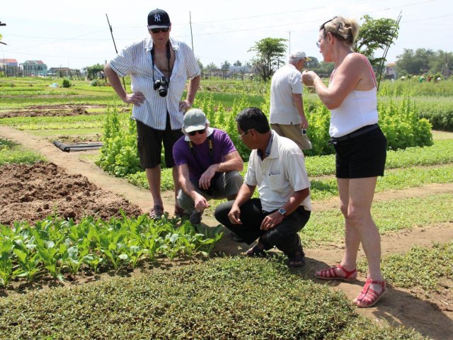 Half Day Tour Tra Que Cooking Class