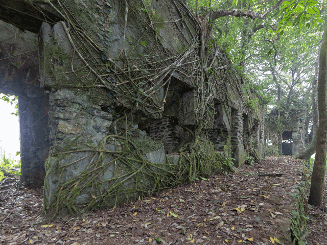Vietnam Wellness Tour