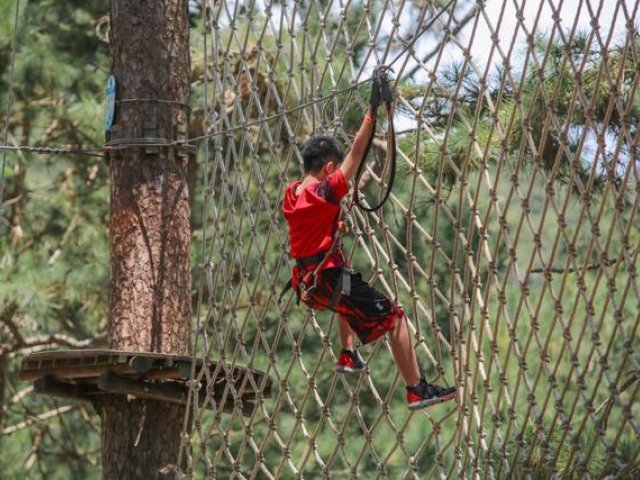 Dalat High Rope Course (Zipline) Tour