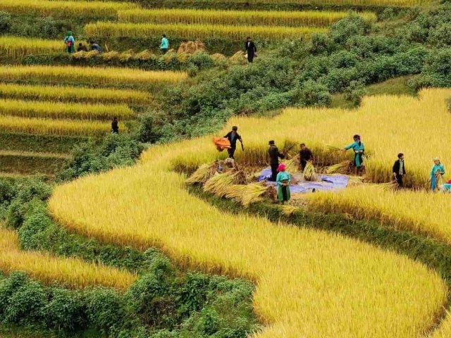 Explore Northern Vietnam