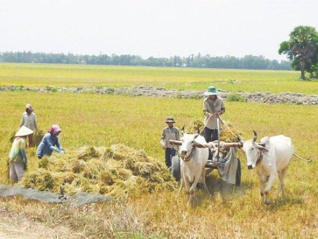 Nha trang countryside tour by car