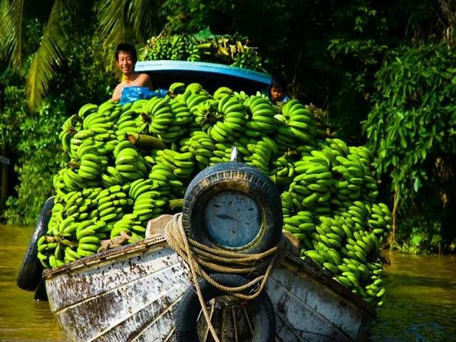 Vietnam Highlights in 7 days