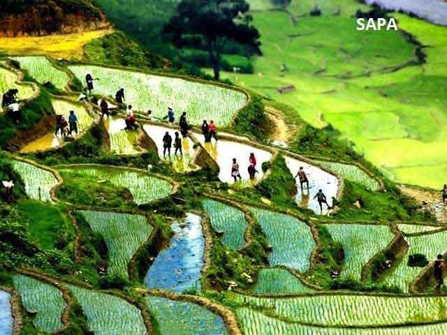 Trekking And Biking Tour in Sapa