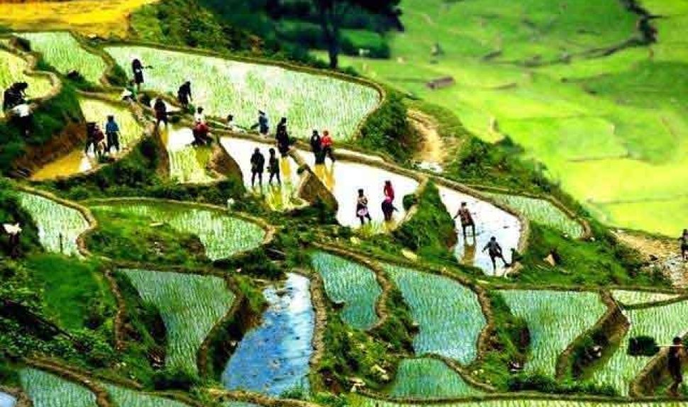 Trekking And Biking Tour in Sapa