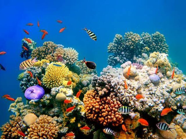 Nha Trang 3 Island Hopping Tour