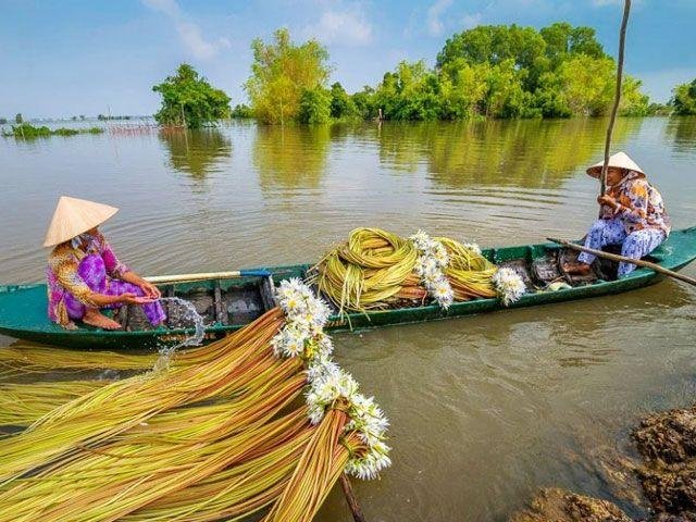 Cycling in the Mekong delta
