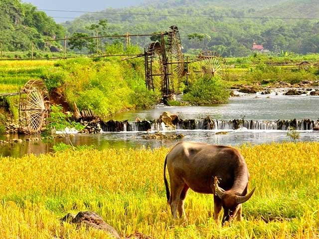 Northern Vietnam Exploration