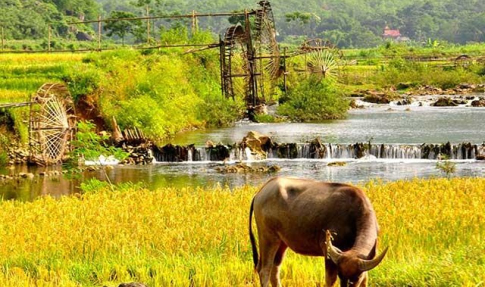 Northern Vietnam Exploration