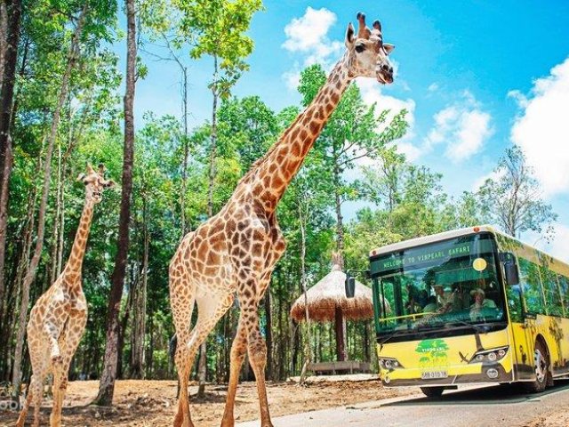 Phu Quoc – Ho Chi Minh 7 Days