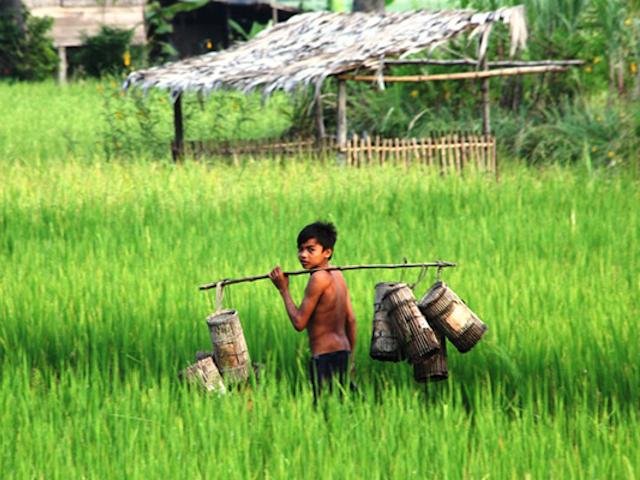 Vietnam and Cambodia Tours & Trips Package