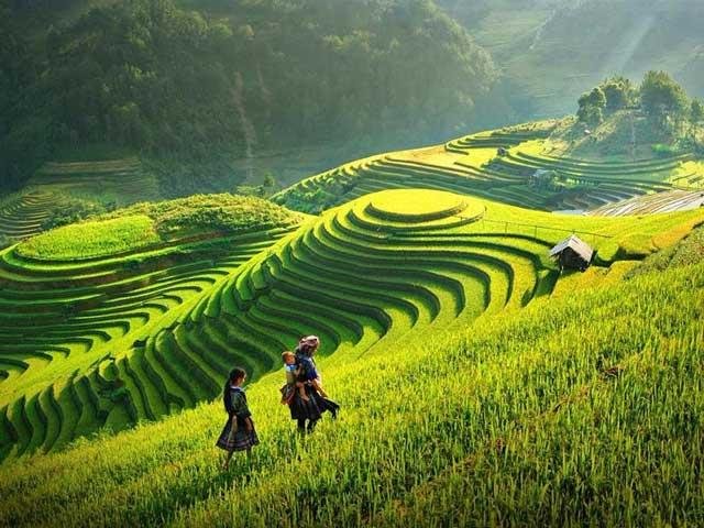 THE ESSENCE OF VIETNAM