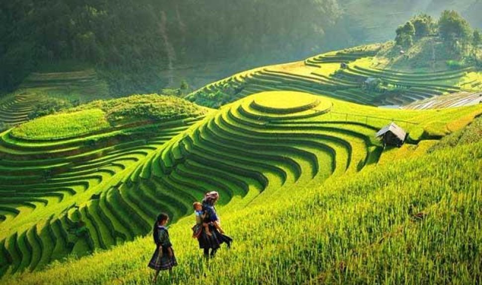 THE ESSENCE OF VIETNAM