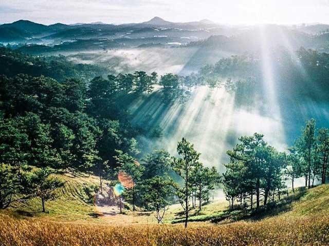 THE LONG BUSTLING SOUTH