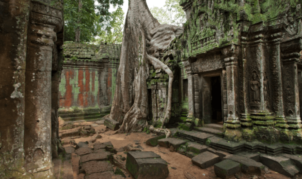 Combination Of Siem Reap And Phnom Penh
