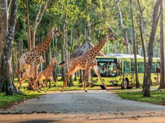 School Holiday - 7 Days Tropical Break In Phu Quoc Island