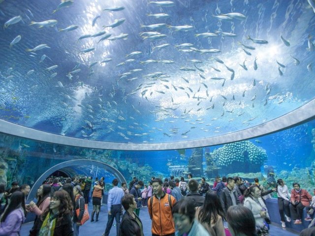 Nha trang Highlight Full Day City Tour