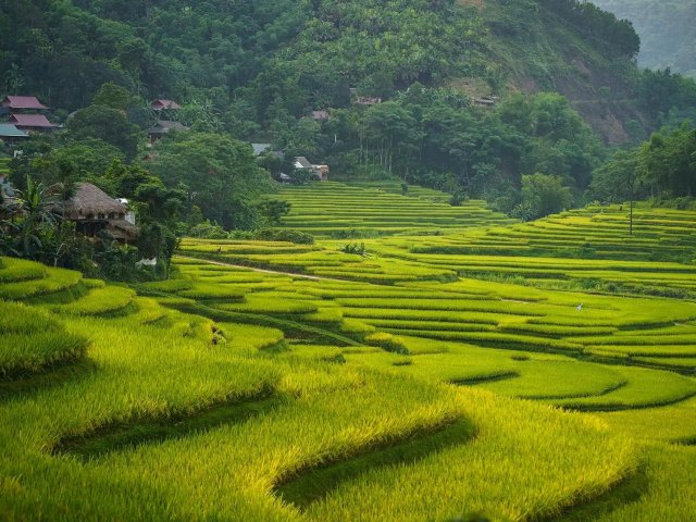 The Best Of Vietnam With Pu Luong