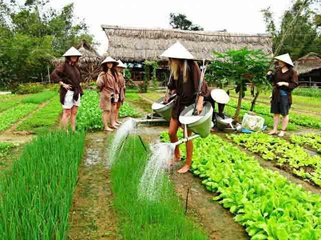 Half  Day Tour Tra Que Vegetable Village